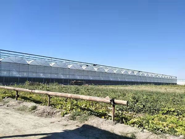 烏斯別克斯坦連棟溫室